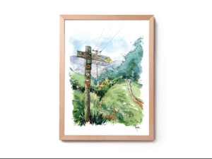 el-camino-santiago-de compostela