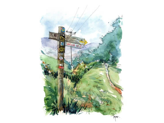 el-camino-santiago-de compostela el-camino-santiago-de compostela